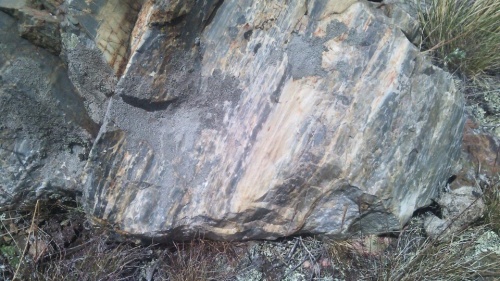 Гигантские зелёные валуны для ландшафтного дизайна весом более 5 тонн купить в Сатке